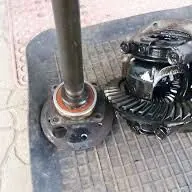 lada poluos garantiya gowy