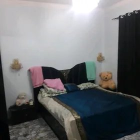 ARENDA JAY ANEW ZBI DACA
