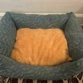 лежанка для котиков