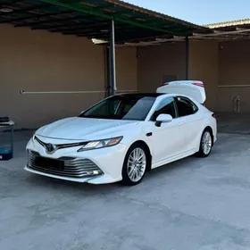 Toyota Camry 2019