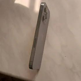 13pro