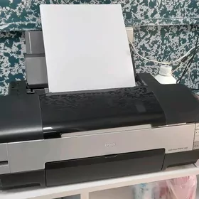 Epson 1410 printer