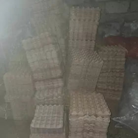 yumurtga latoklar