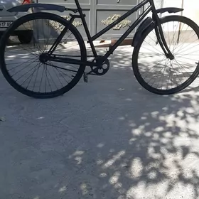 Ýapon tigir 28lik