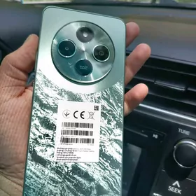 Raboci telefon alyan ulanylan
