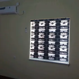 źalyuslar