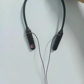 Nauşnik bliutoznu