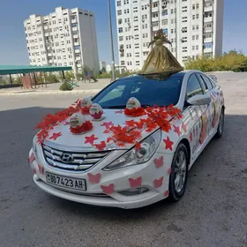 Hyundai Sonata 2011