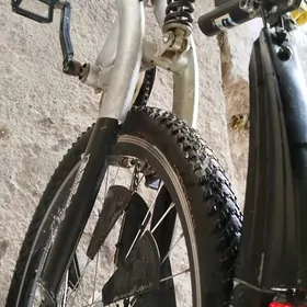 26-lyk tigr
