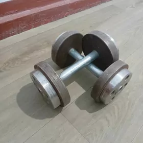Гантел 10 кг