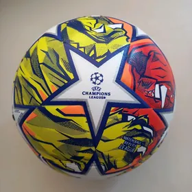 Top liga cempion