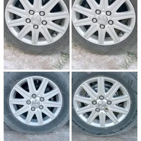 15 gyrant disga