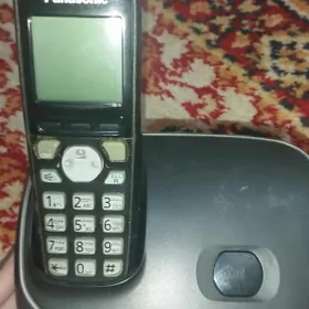 Panasonik оригинал