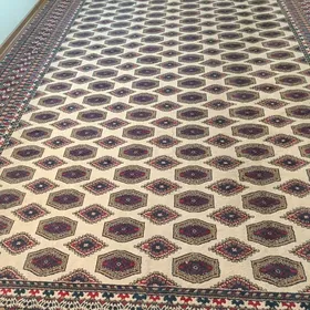 Halylar arassaja