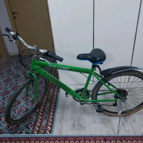Tigir turkmenistan