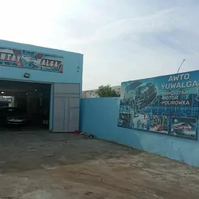 Moýka