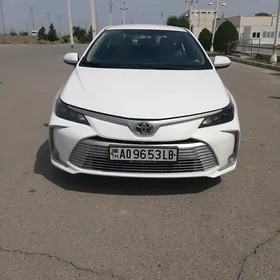 Toyota Corolla 2020