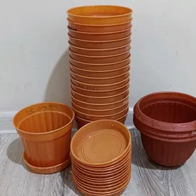 Öý güller üçin garşoklar