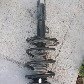 camry amasotor