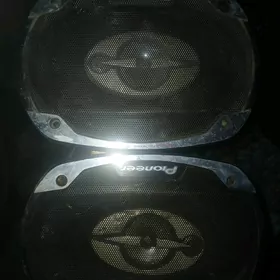 Pinoneer kolka