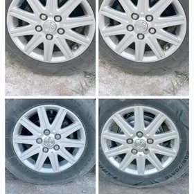 15 gyrant disga