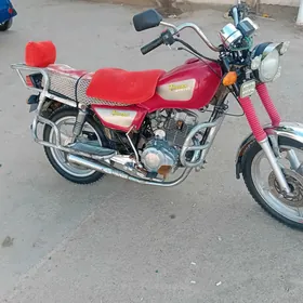 Fekon FK150-8G 2014