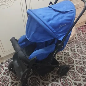 caga kalyaska