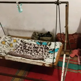 sallancak