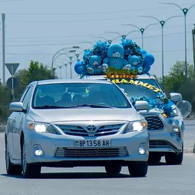 Toyota Corolla 2011