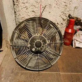 24v