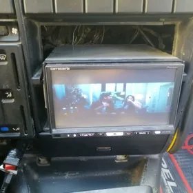 Pioneer 900 tv arginal
