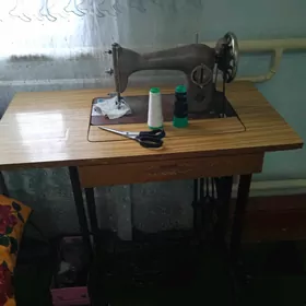 Tiikin maşyn