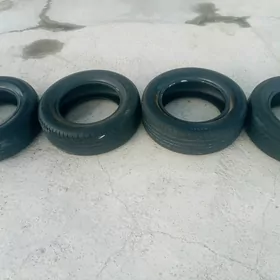 teker 15