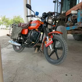 Fekon FK150-8G 2023
