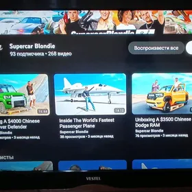 VESTEL TV
