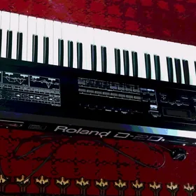 Roland  D - 20