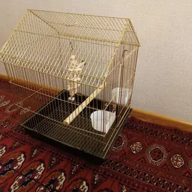 Клетка для попугая