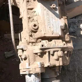 Maz karopka kiçi dlitl