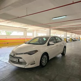 Toyota Corolla 2016