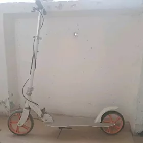 Samokat