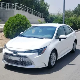Toyota Corolla 2020