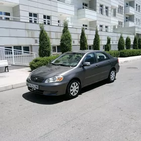 Toyota Corolla 2003