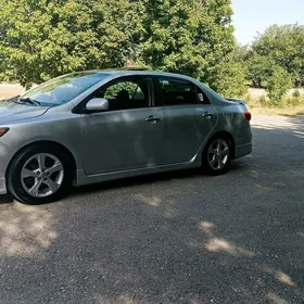 Toyota Corolla 2010