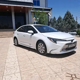 Toyota Corolla 2021