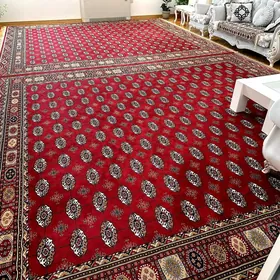 TURK HALY 1 sort