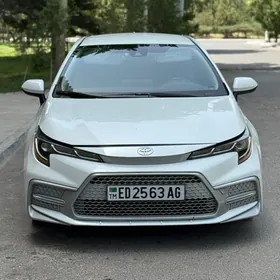 Toyota Corolla 2020