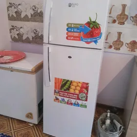 Halodinlik