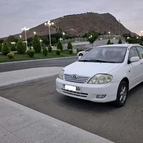 taxi culi we gala gitmage