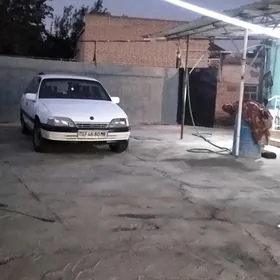 Opel Omega 1991