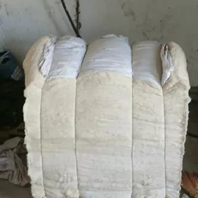 pagta